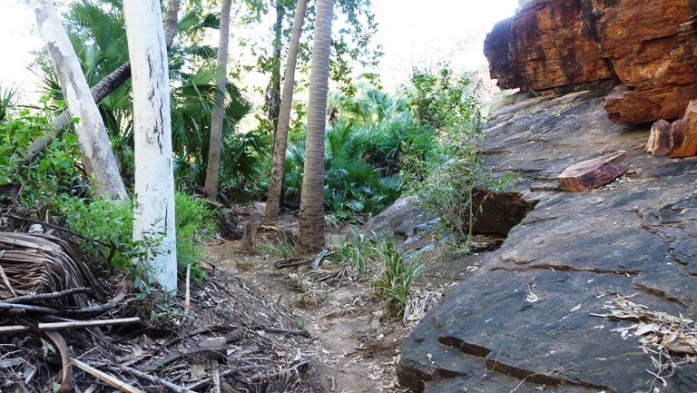 Wandern im Lawn Hill NP